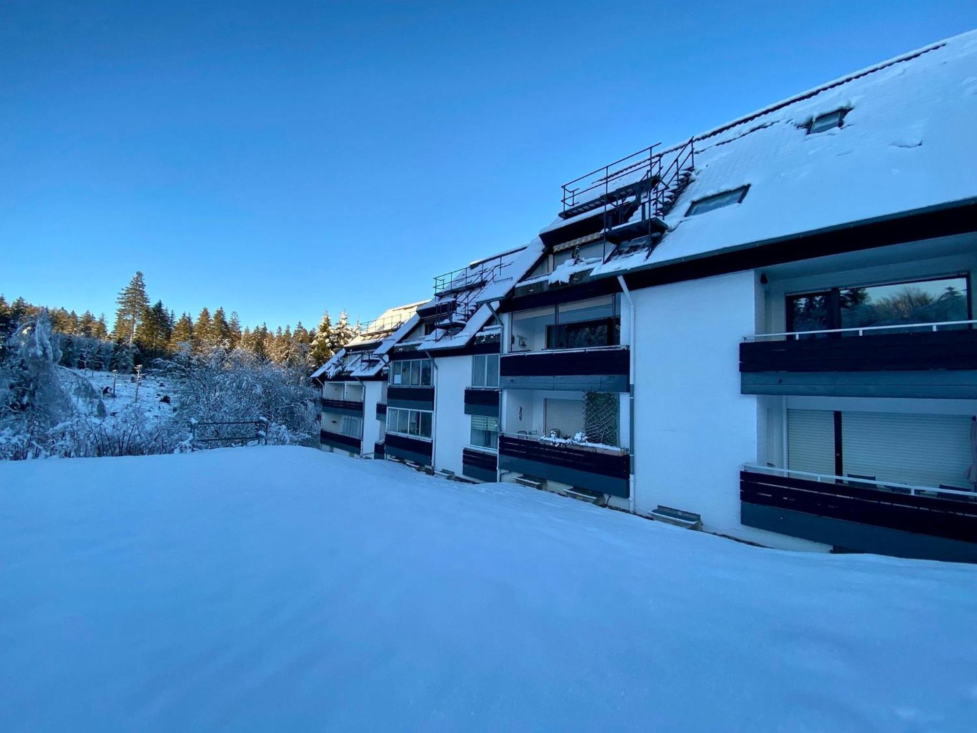 Ferienwohnung Waldgaenger Hahnenklee ゴスラー エクステリア 写真