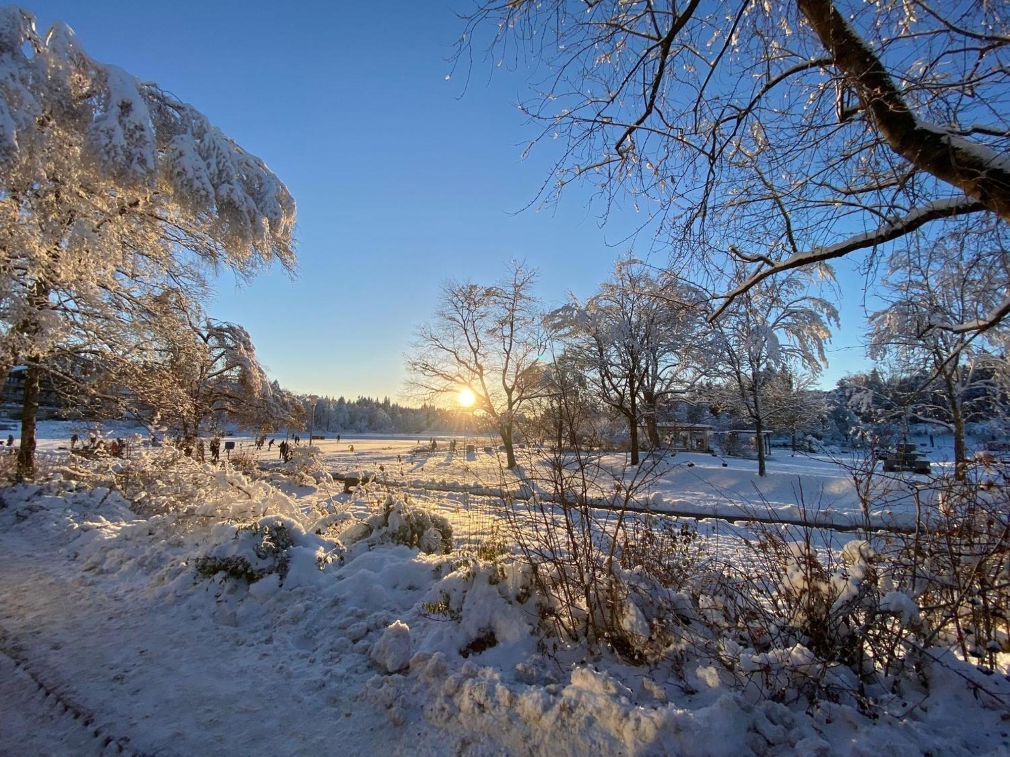 Ferienwohnung Waldgaenger Hahnenklee ゴスラー エクステリア 写真