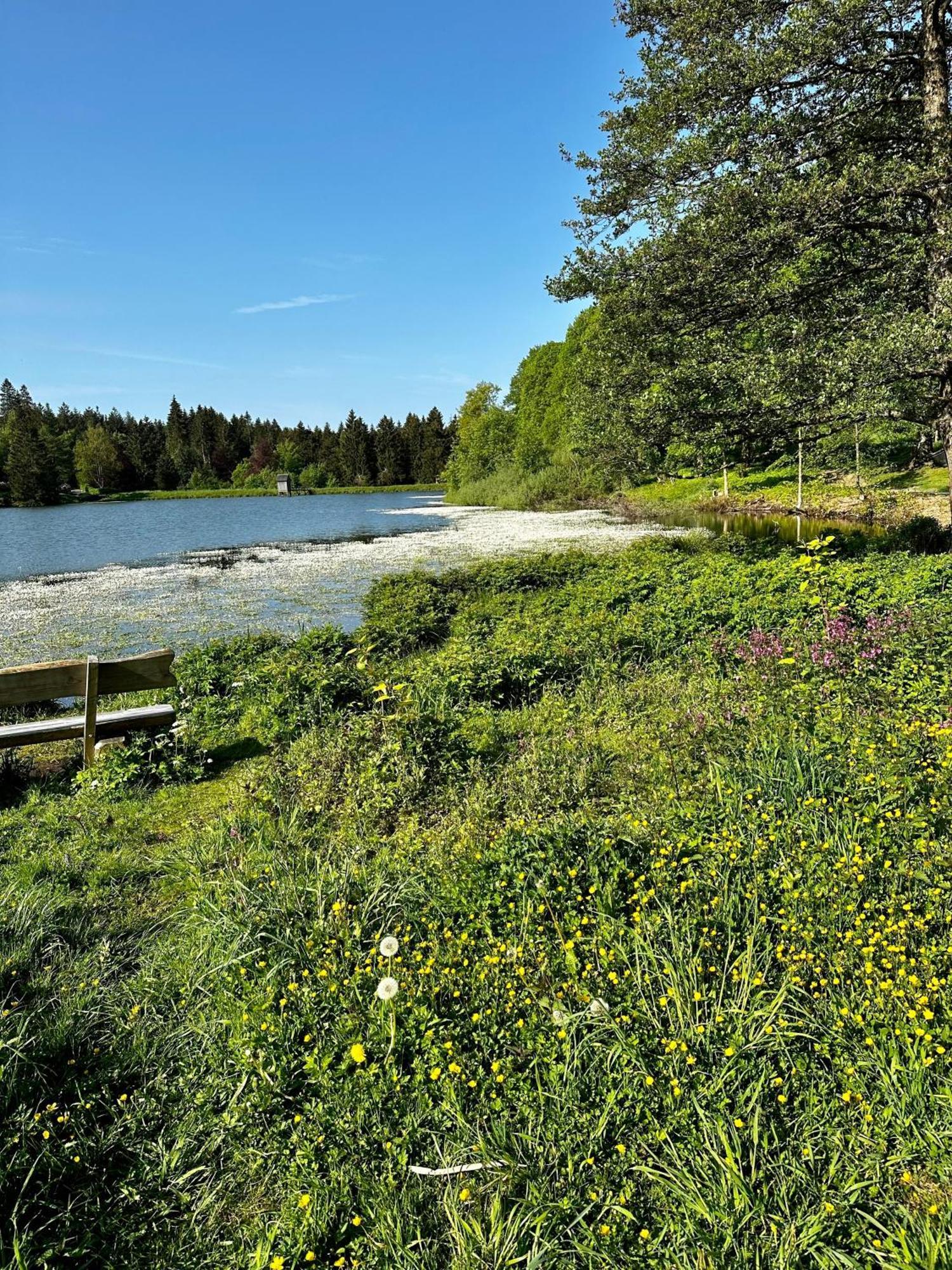 Ferienwohnung Waldgaenger Hahnenklee ゴスラー エクステリア 写真