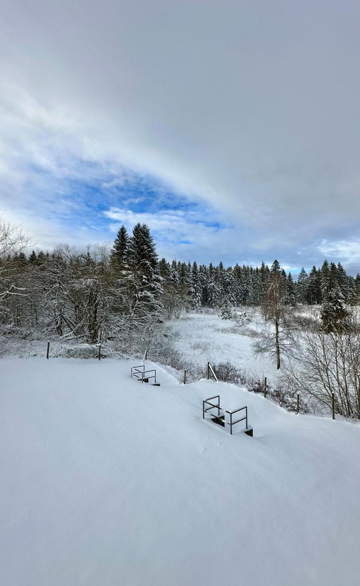Ferienwohnung Waldgaenger Hahnenklee ゴスラー エクステリア 写真