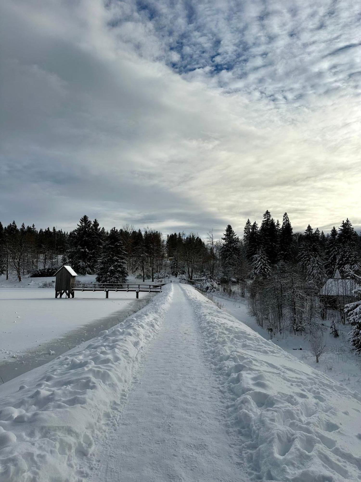 Ferienwohnung Waldgaenger Hahnenklee ゴスラー エクステリア 写真