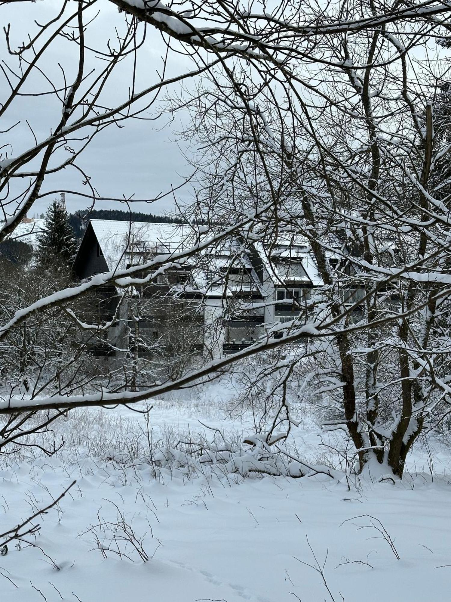 Ferienwohnung Waldgaenger Hahnenklee ゴスラー エクステリア 写真