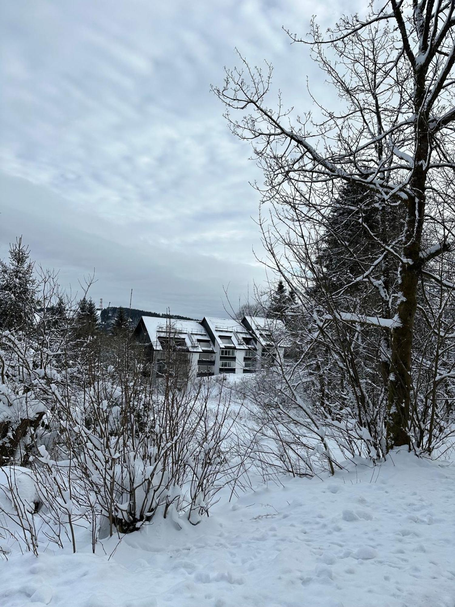 Ferienwohnung Waldgaenger Hahnenklee ゴスラー エクステリア 写真